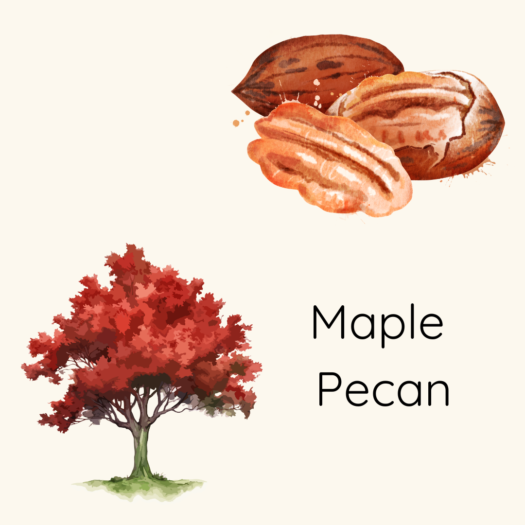 Maple Pecan